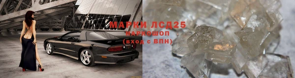 каннабис Корсаков